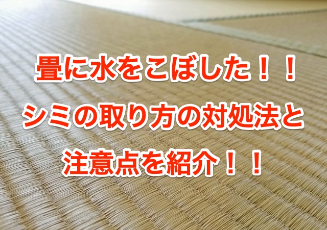 畳に水をこぼしたときの対処法 シミ取り方法と注意点 知恵の海