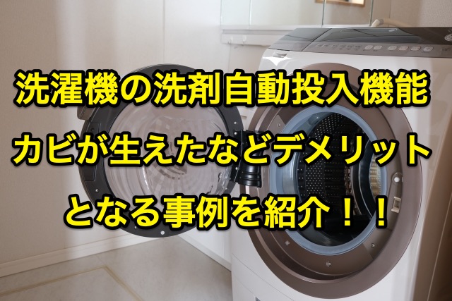 洗濯機の洗剤自動投入機能にカビが生えた！使用する際のデメリットを検証 | 知恵の海